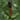 Thunder B Stick Type CO2 Lydgranat, Sæt med 12 Shells – billede 2
