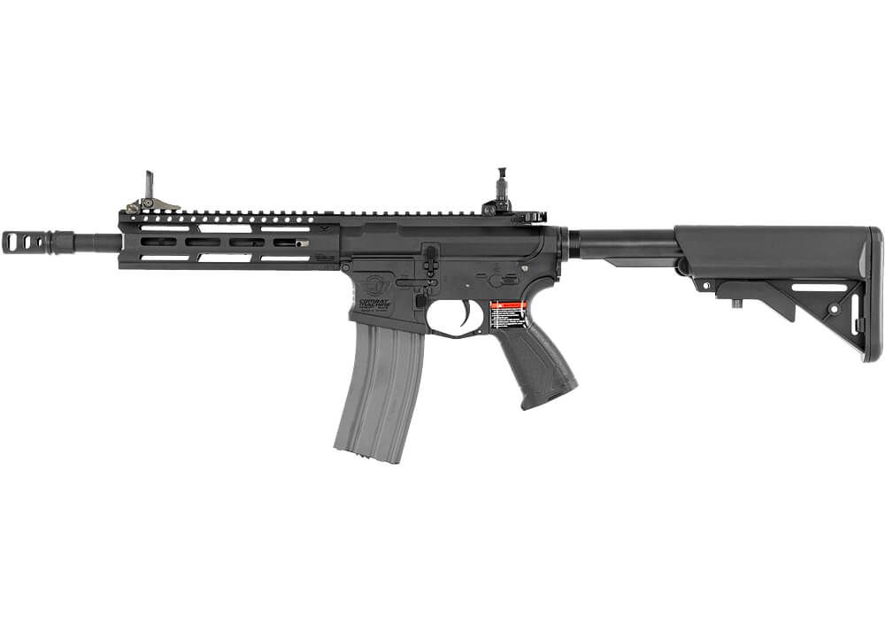 G&G CM16 Raider 2.0, Sort