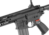 G&G CM16 Raider 2.0, Sort