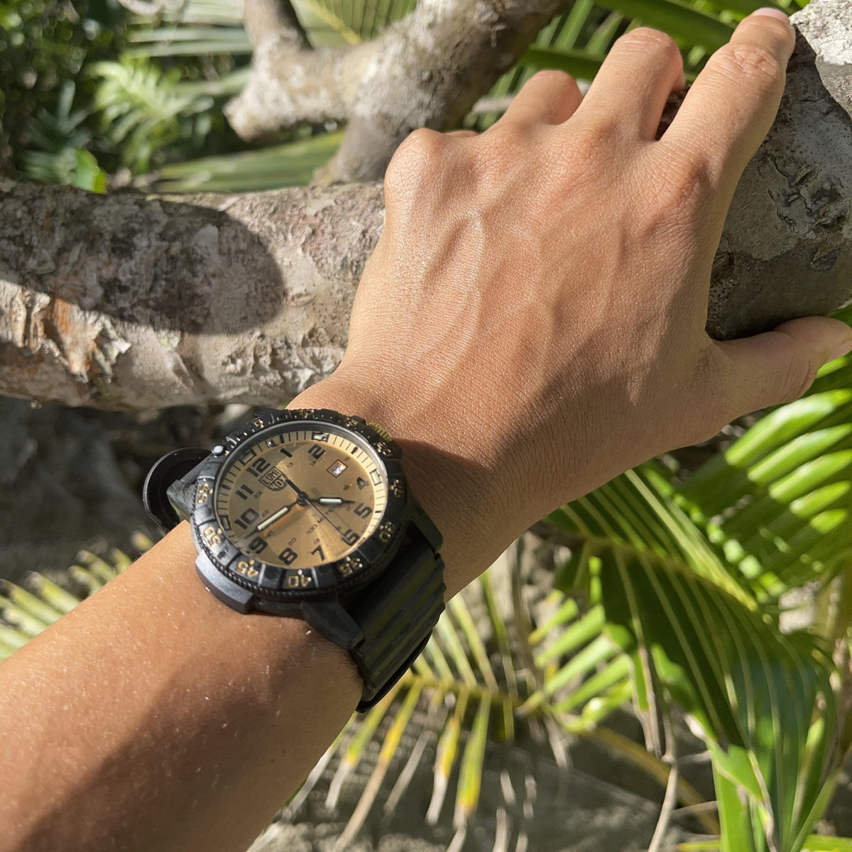 Luminox Leatherback Sea Turtle, Sort/Champagne