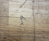 Anti Reverval Latch Fjeder