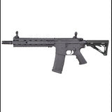 Rossi Neptune SAS