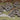 Magpul PTS XTM Rail Covers DE